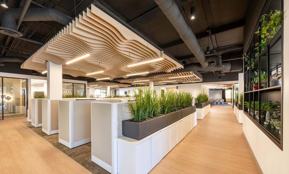 Mora Build Wave in Light Oak over a reception desk.