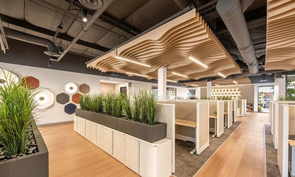 Mora system in The Naturals over an open office.
