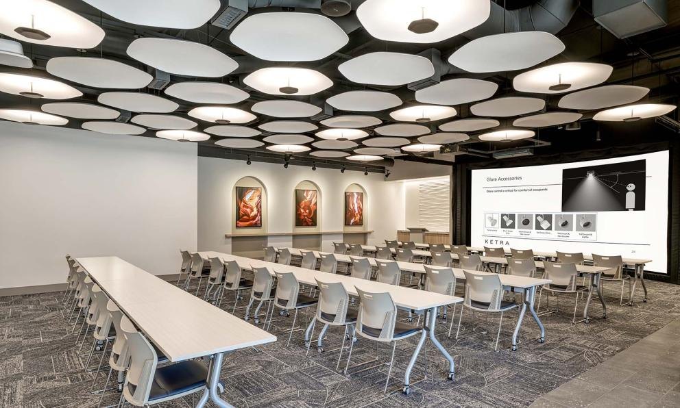 Skydome Edge Acoustic and luminaire field over a training room.