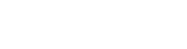 Lightsome Studio logo