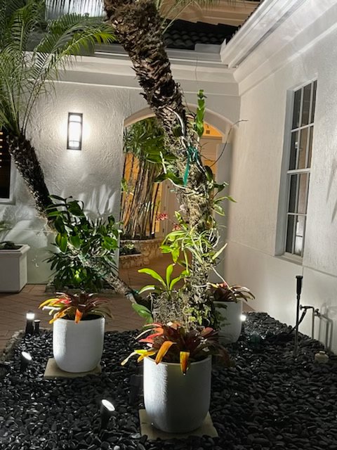 Courtyard of a Miami residence at night, with well lights in black river rock uplighting palms and small path lights among planters
